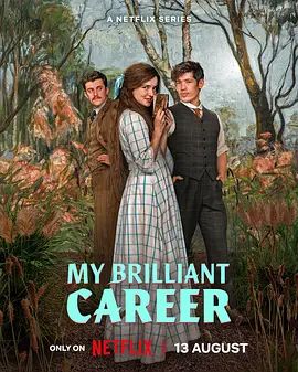 我的璀璨生涯（2026）海报